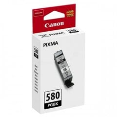 Canon 2078C001 цена и информация | Картриджи для струйных принтеров | pigu.lt