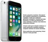Apple iPhone 6 16GB, Pilka (Atnaujinta) A-klasė kaina ir informacija | Mobilieji telefonai | pigu.lt