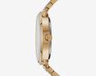 Laikrodis moterims Michael Kors MK3639 цена и информация | Moteriški laikrodžiai | pigu.lt