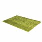 Kilimas Shaggy Light Green, 40x60 cm kaina ir informacija | Kilimai | pigu.lt