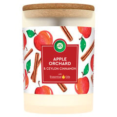 Ароматическая свеча Air Wick Apple Orchard & Ceylon Cinnamon 185 г цена и информация | Подсвечники, свечи | pigu.lt