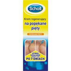 Regeneruojantis skilinėjančių pėdų kremas Scholl 60 ml kaina ir informacija | Scholl Kvepalai, kosmetika | pigu.lt