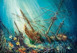 Dėlionė Ocean Treasure Castorland, 1000 d. kaina ir informacija | Dėlionės (puzzle) | pigu.lt