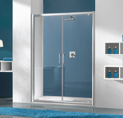 Dušo durys į nišą Sanplast TX DD/TX5b 80s, profilis matinis sidabrinis, dekoruotas stiklas grey kaina ir informacija | Dušo durys ir sienelės | pigu.lt
