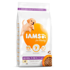 Iams ProActive Health для щенков крупных пород с курицей, 3 кг цена и информация |  Сухой корм для собак | pigu.lt