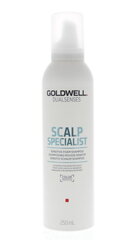 Plaukų šampūnas - putos jautriai galvos odai Goldwell Dualsenses Scalp Specialist Sensitive 250 ml kaina ir informacija | Šampūnai | pigu.lt
