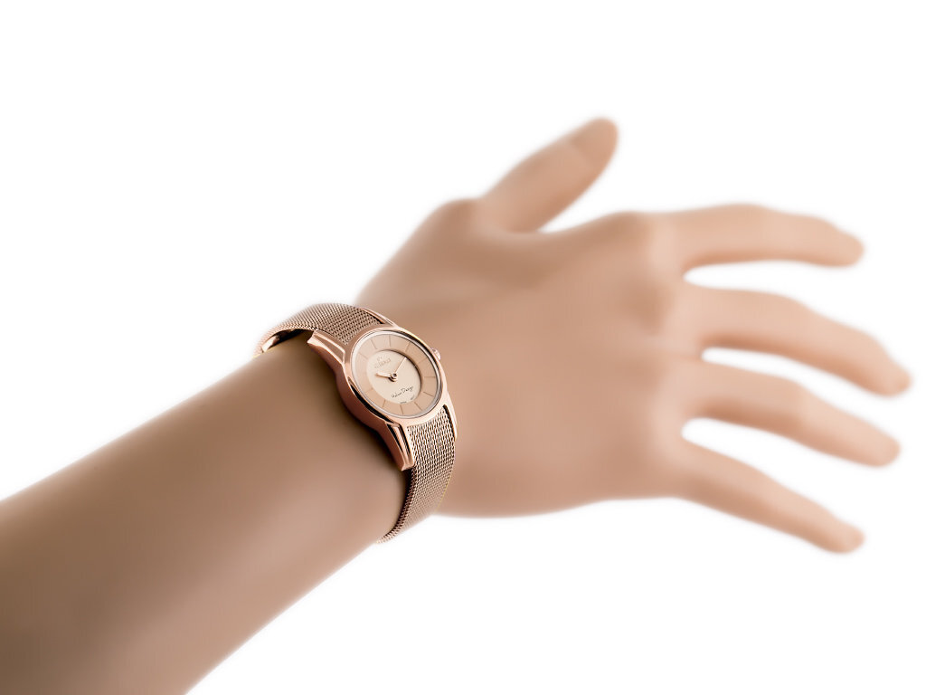 Laikrodis moterims  Gino Rossi kaina ir informacija | Moteriški laikrodžiai | pigu.lt
