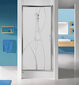 Dušo durys į nišą Sanplast TX D2/TX5b 110s, profilis matinis sidabrinis, dekoruotas stiklas grey kaina ir informacija | Dušo durys ir sienelės | pigu.lt