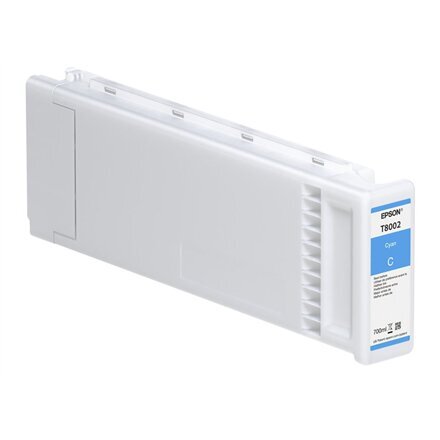 Epson C13T800200 kaina ir informacija | Kasetės rašaliniams spausdintuvams | pigu.lt