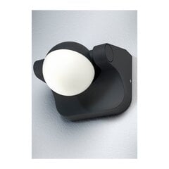 Šviestuvas Endura style Sphere 8W DG Osram kaina ir informacija | Lauko šviestuvai | pigu.lt