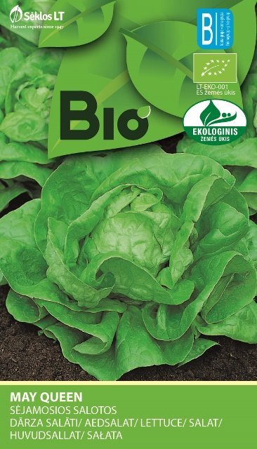 Sėjamosios salotos Bio May Queen цена и информация | Daržovių, uogų sėklos | pigu.lt
