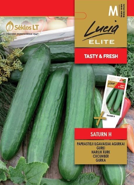 Paprastieji ilgavaisiai agurkai SATURN H    kaina ir informacija | Daržovių, uogų sėklos | pigu.lt