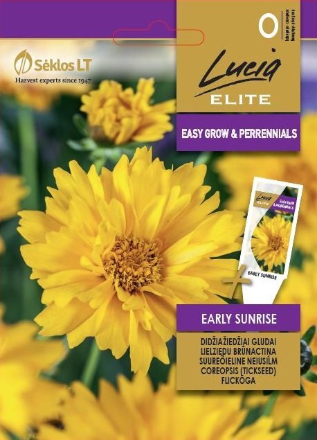 Didžiažiedžiai gludai EARLY SUNRISE цена и информация | Gėlių sėklos | pigu.lt