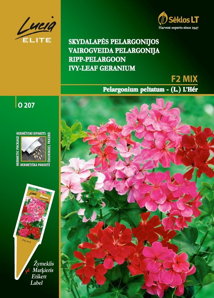 Skydalapės pelargonijos F2 MIX kaina ir informacija | Gėlių sėklos | pigu.lt