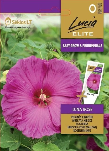 Pelkinės kinrožės Luna Rose kaina ir informacija | Gėlių sėklos | pigu.lt