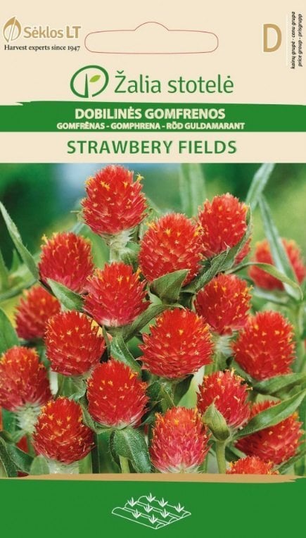 Dobilinės gomfrenos Strawberry Fields цена и информация | Gėlių sėklos | pigu.lt
