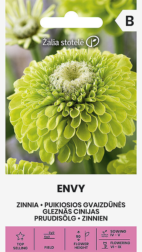 Puikiosios jurgininės gvaizdūnės Envy цена и информация | Gėlių sėklos | pigu.lt