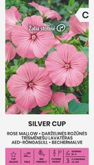 Лаватера трехмесячная SILVER CUP цена и информация | Семена цветов | pigu.lt