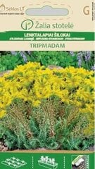 Очиток скальный TRIPMADAM цена и информация | Семена цветов | pigu.lt
