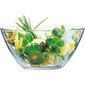 Luminarc salotinė Cosmos, 23 cm kaina ir informacija | Indai, lėkštės, pietų servizai | pigu.lt