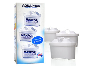 Кассета для фильтра Aquaphor Maxfor B100-25, 3 шт цена и информация | Фильтры для воды | pigu.lt