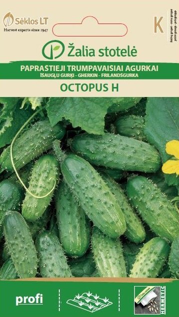 Paprastieji trumpavaisiai agurkai Octopus H цена и информация | Daržovių, uogų sėklos | pigu.lt
