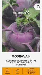 Кольраби MODRAVA H цена и информация | Семена овощей, ягод | pigu.lt