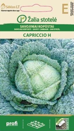 Savojiniai kopūstai Capriccio H kaina ir informacija | Daržovių, uogų sėklos | pigu.lt