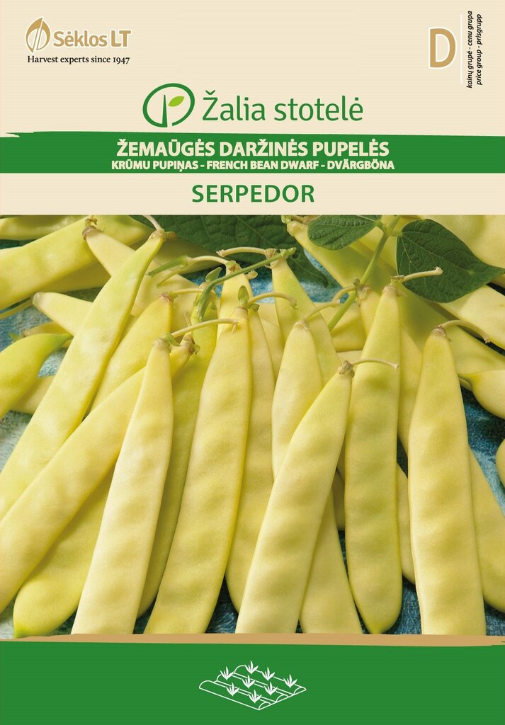 Daržinės pupelės žemaūgės Serpedor цена и информация | Daržovių, uogų sėklos | pigu.lt