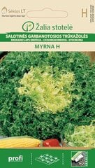 Garbanotosios salotinės trūkažolės MYRNA H kaina ir informacija | Daržovių, uogų sėklos | pigu.lt