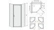 Kampinė dušo kabina Sanplast TX PKDJ/TX5b 100s, profilis matinis graphit, dekoruotas stiklas cora kaina ir informacija | Dušo kabinos | pigu.lt