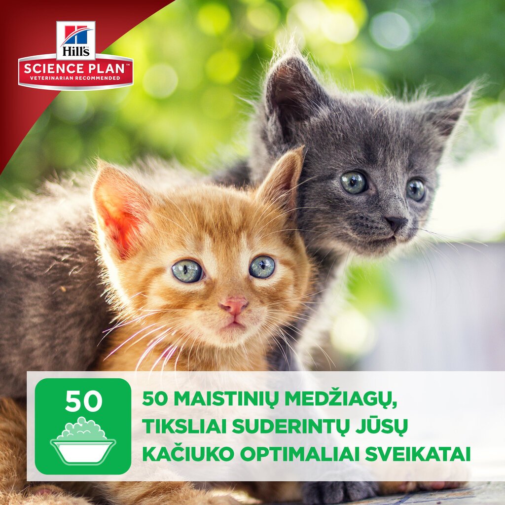 Hill's Science kačiukams su vištiena ir kalakutiena Plan Kitten Healthy Development Multi Pack, 85 g x 12 vnt. kaina ir informacija | Konservai katėms | pigu.lt