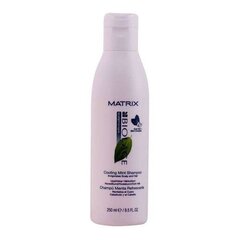 Atstatantis šampūnas Biolage Scalptherapie Matrix, 250 ml kaina ir informacija | Šampūnai | pigu.lt