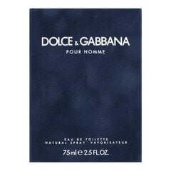 Туалетная вода Dolce & Gabbana Pour Homme EDT для мужчин, 75 мл цена и информация | Мужские духи | pigu.lt