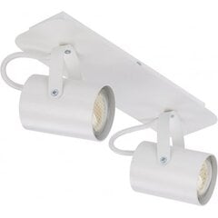 Потолочный светильник Kamera, 32612 цена и информация | Потолочные светильники | pigu.lt