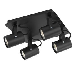 Потолочный светильник Kamera, 32610 цена и информация | Потолочные светильники | pigu.lt