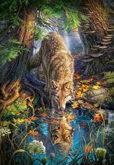 Пазл Puzzle Castorland Wolf in the Wild, 1500 дет. цена и информация | Пазлы | pigu.lt