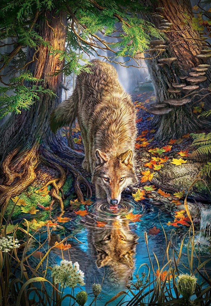 Dėlionė Castorland Puzzle Wolf in the Wild, 1500 d. цена и информация | Dėlionės (puzzle) | pigu.lt