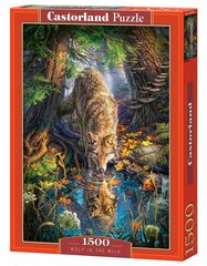 Пазл Puzzle Castorland Wolf in the Wild, 1500 дет. цена и информация | Пазлы | pigu.lt