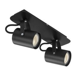 Sigma šviestuvas Kamera 2 kaina ir informacija | Lubiniai šviestuvai | pigu.lt