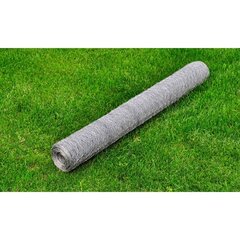 Galvanizuotas vielinis tinklas, 75 cm x 25 m kaina ir informacija | Tvoros ir jų priedai | pigu.lt