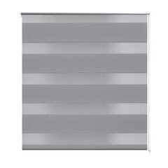 Žaliuzė, roletas Zebra, 100 x 175 cm, pilkas цена и информация | Рулонные шторы | pigu.lt