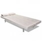 Sofa-lova su 2 pagalvėmis, balta kaina ir informacija | Sofos | pigu.lt