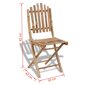 Lauko kėdės VidaXL, rudos kaina ir informacija | Lauko kėdės, foteliai, pufai | pigu.lt