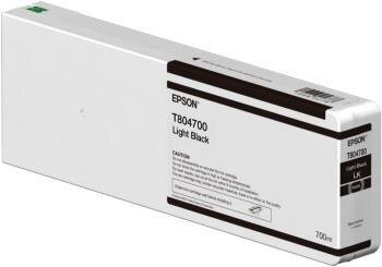 Epson C13T804700 kaina ir informacija | Kasetės rašaliniams spausdintuvams | pigu.lt