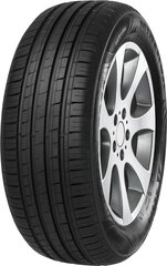 Minerva F209 205/60R16 96 V XL kaina ir informacija | Vasarinės padangos | pigu.lt