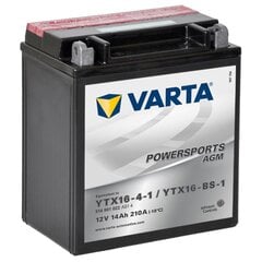 Varta аккумуляторная батарея AGM 12 В 14 Ач YTX16-4-1 / YTX16-BS-1 цена и информация | Мото аккумуляторы | pigu.lt