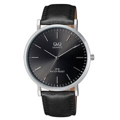 Vyriškas laikrodis Q&Q QZ02J302Y цена и информация | Мужские часы | pigu.lt