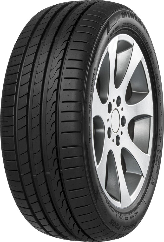 Minerva F205 205/55R17 95 W XL цена и информация | Vasarinės padangos | pigu.lt