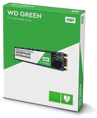 Western Digital Green 240GB M.2 SATA3 (WDS240G2G0B) цена и информация | Внутренние жёсткие диски (HDD, SSD, Hybrid) | pigu.lt